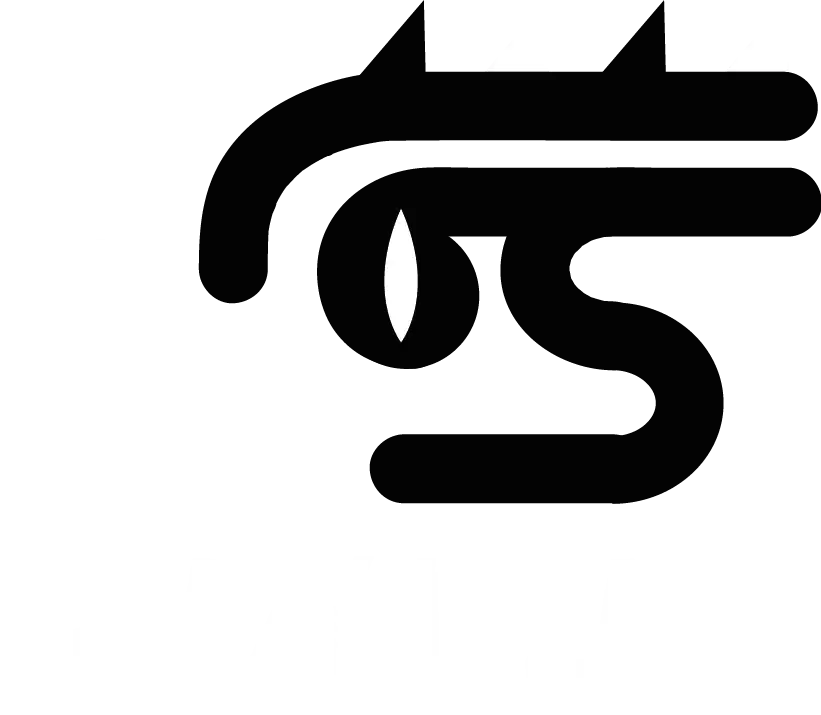 Logotipo Crazy Lizard Sauces