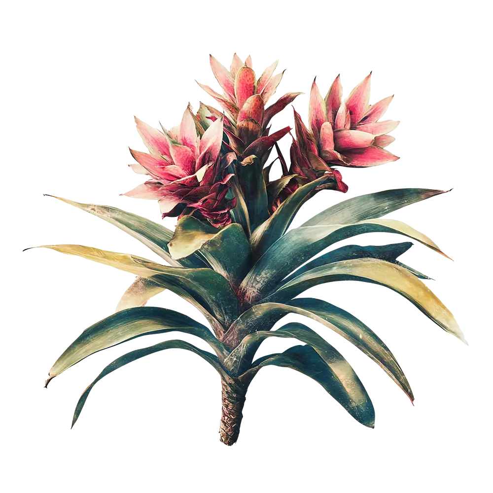 Hojas tropicales, ambiente natural